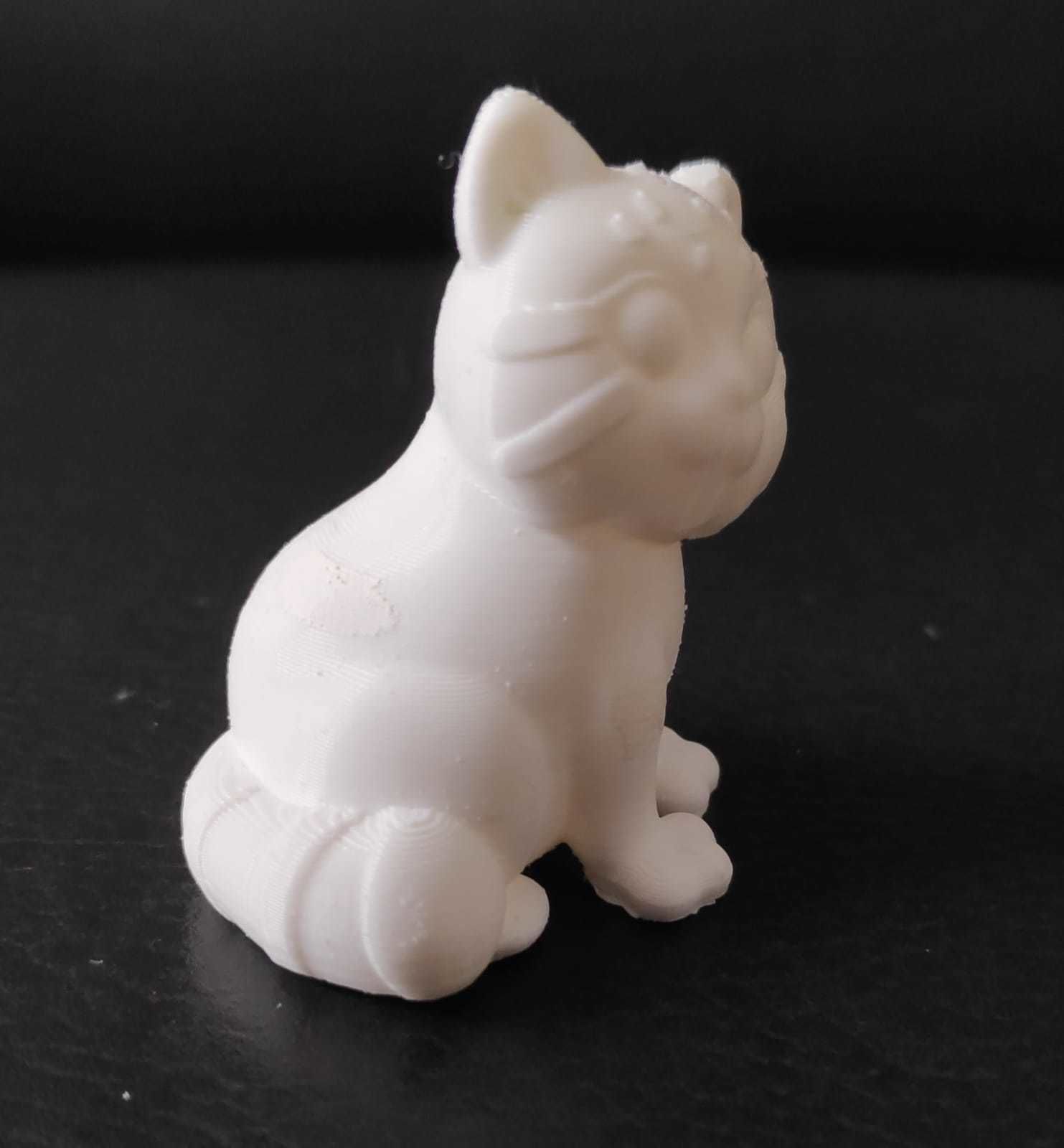 Pallas Cat 3D print model_10