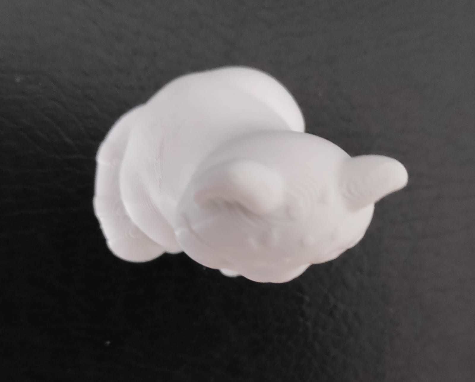 Pallas Cat 3D print model_14