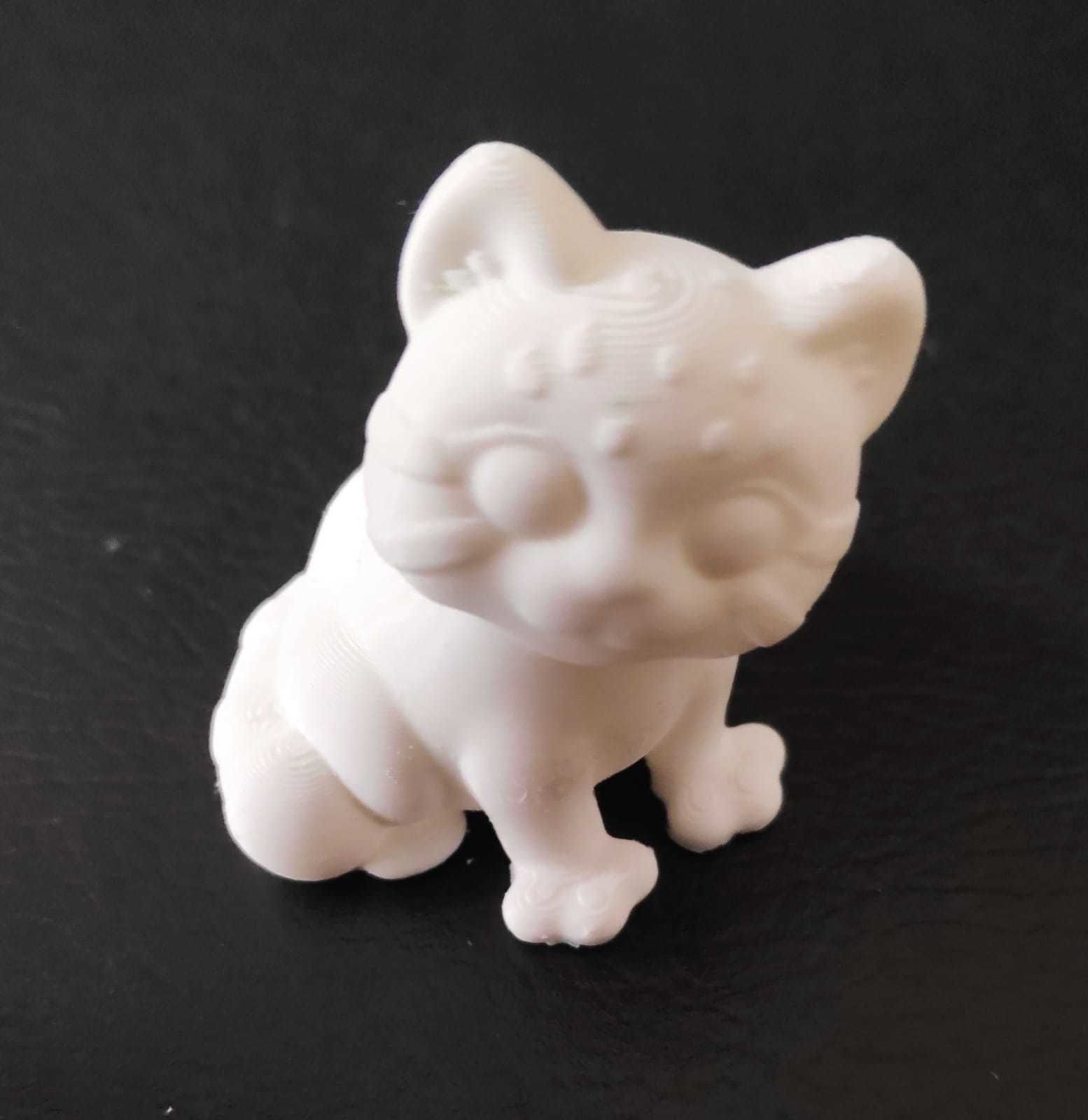 Pallas Cat 3D print model_13