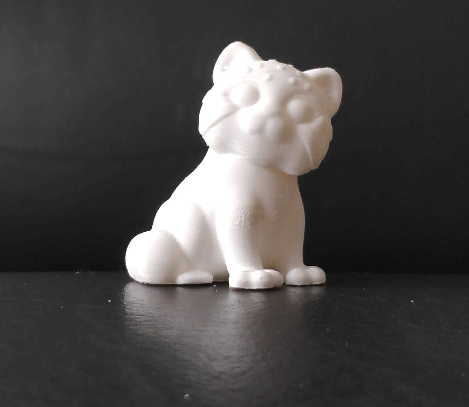 Pallas Cat 3D print model_12