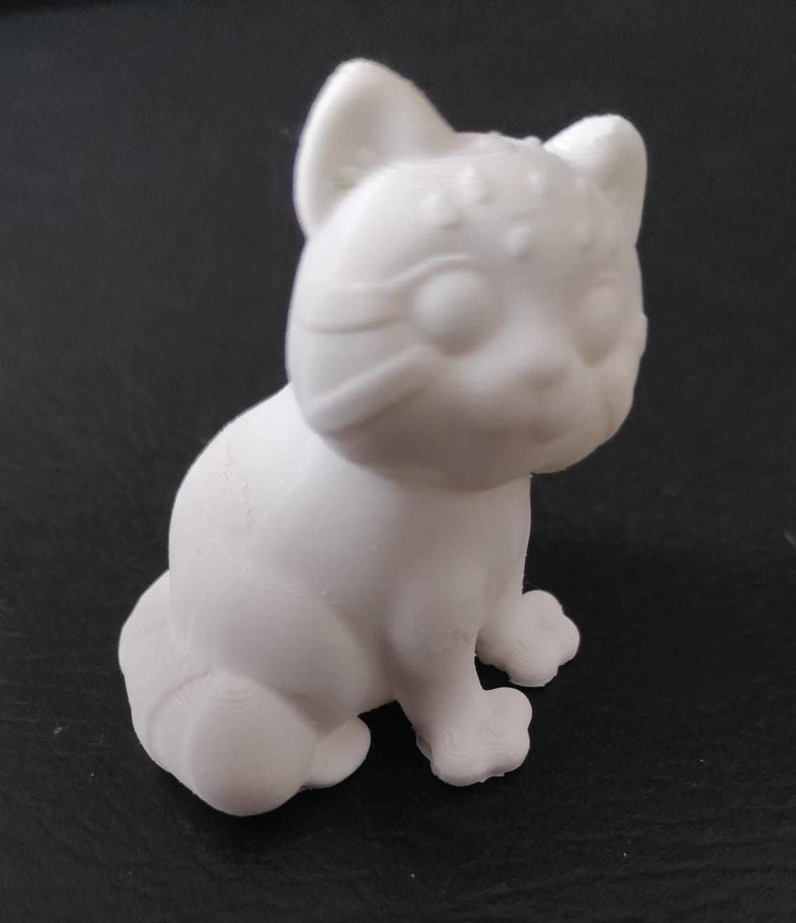 Pallas Cat 3D print model_11