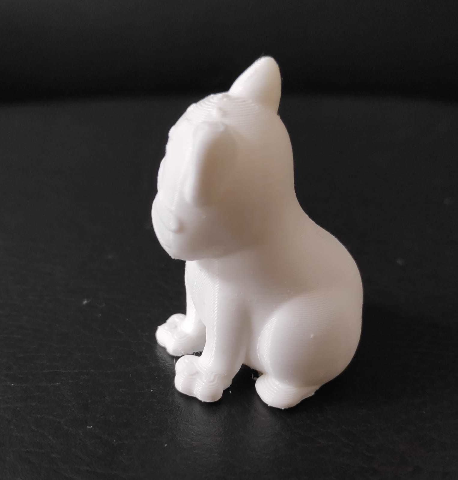 Pallas Cat 3D print model_6