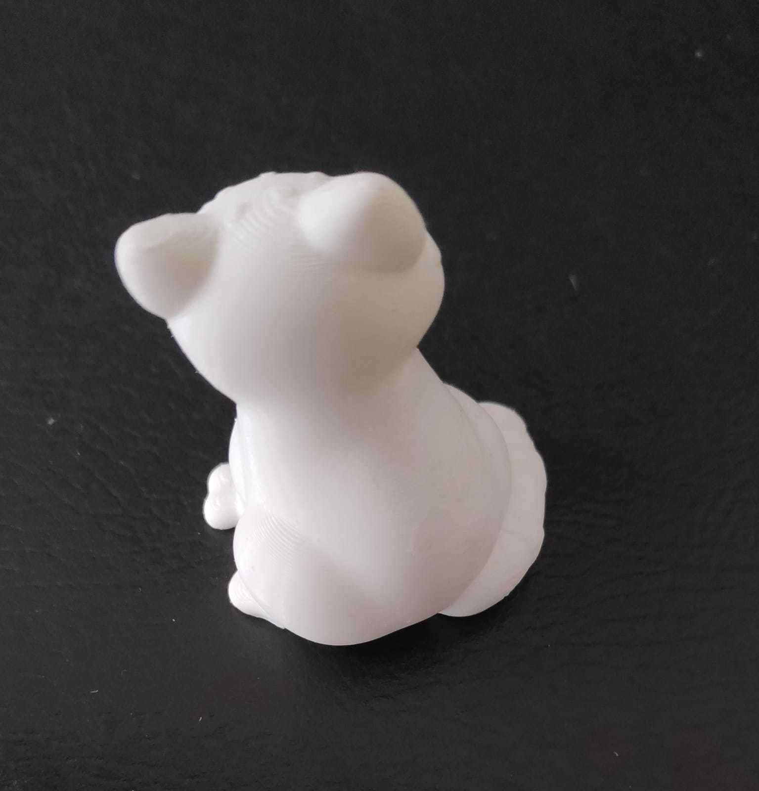 Pallas Cat 3D print model_8