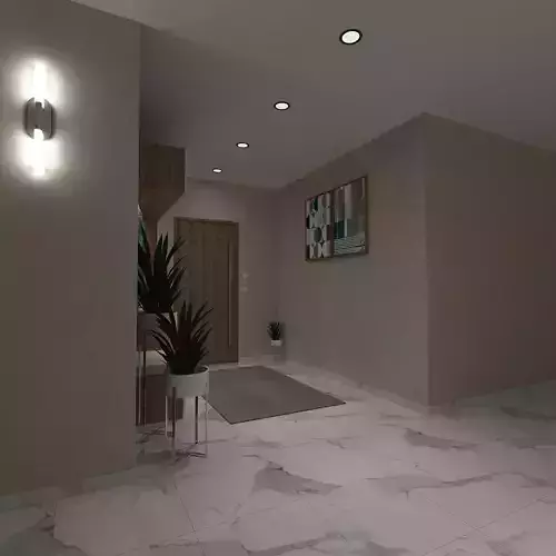 MODERN ENTRANCE HALL DESIGN