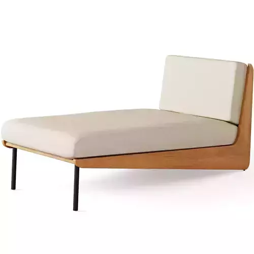 Kinney Teak Outdoor Chaise Lounge with Cushion 3D model
