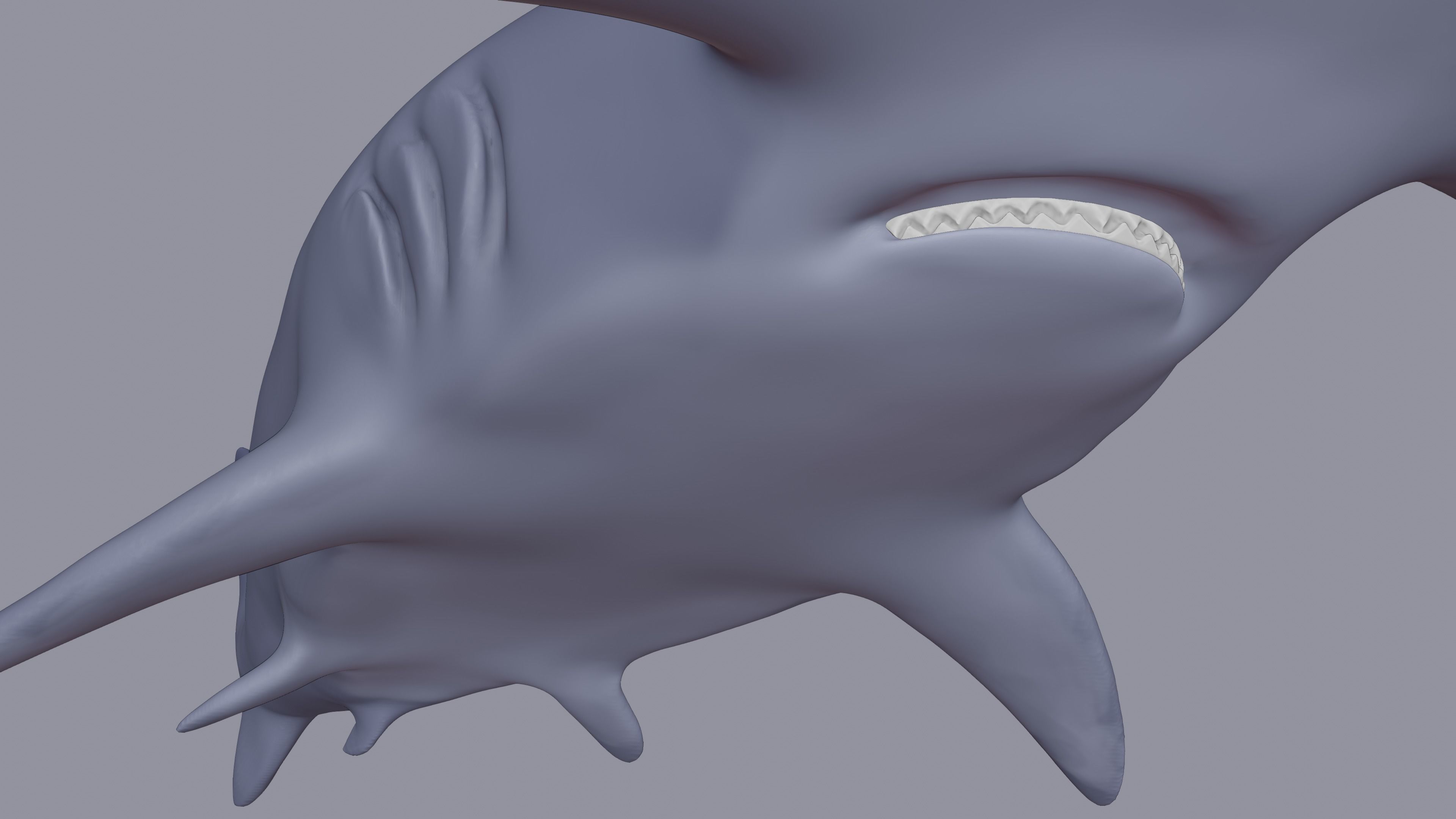 Hammerhead Shark 3D print model_2