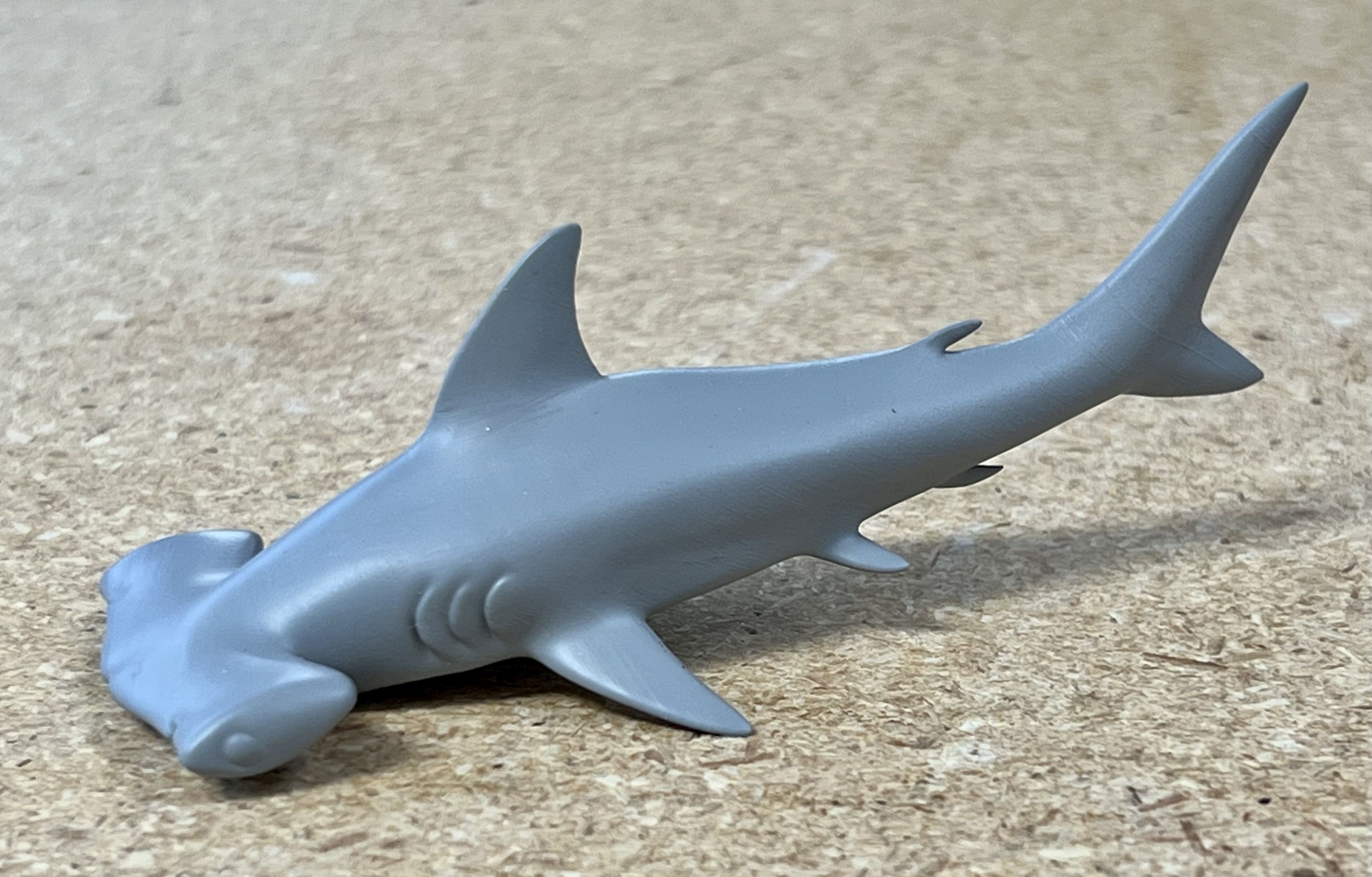 Hammerhead Shark 3D print model_8