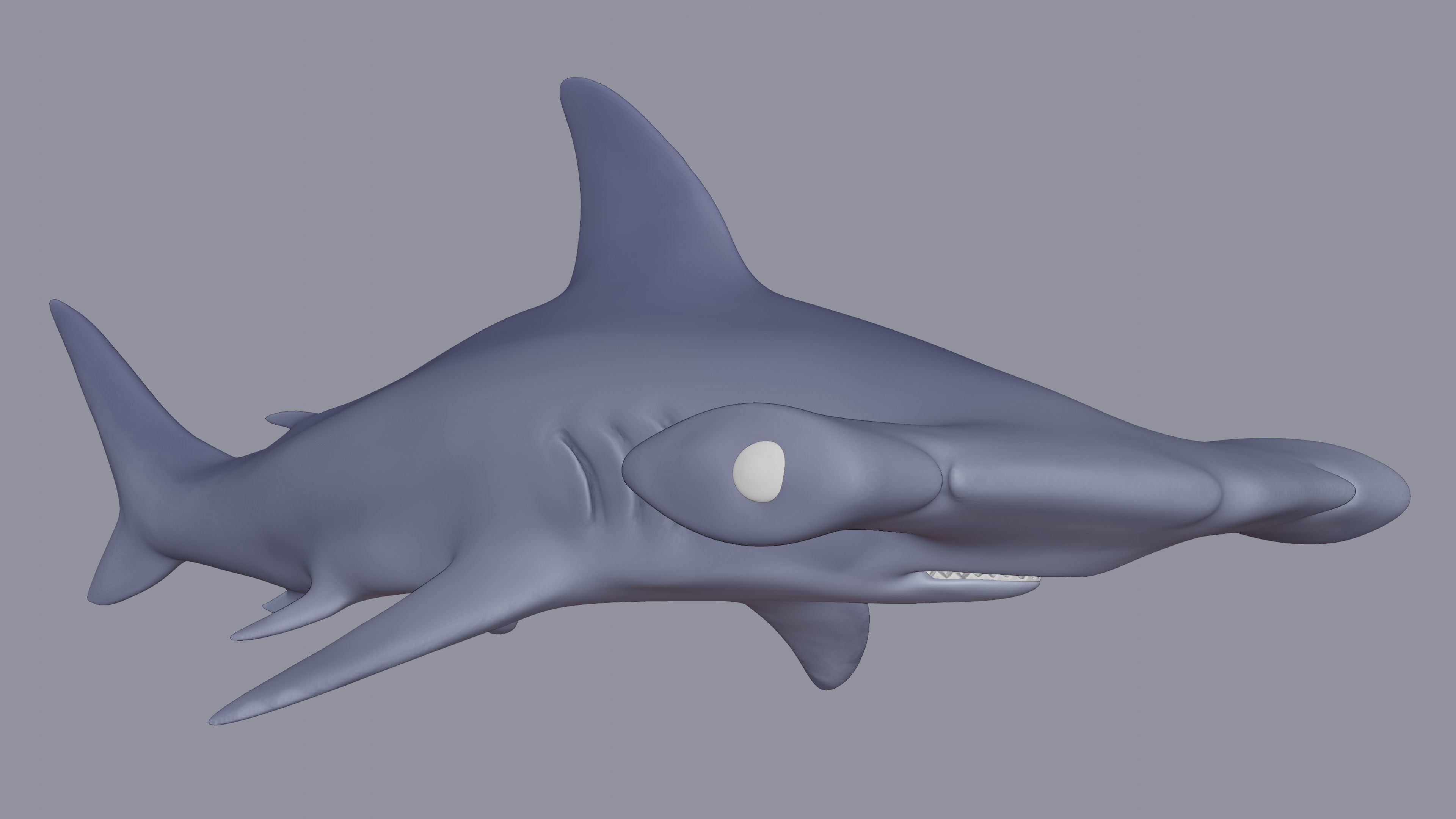 Hammerhead Shark 3D print model_1