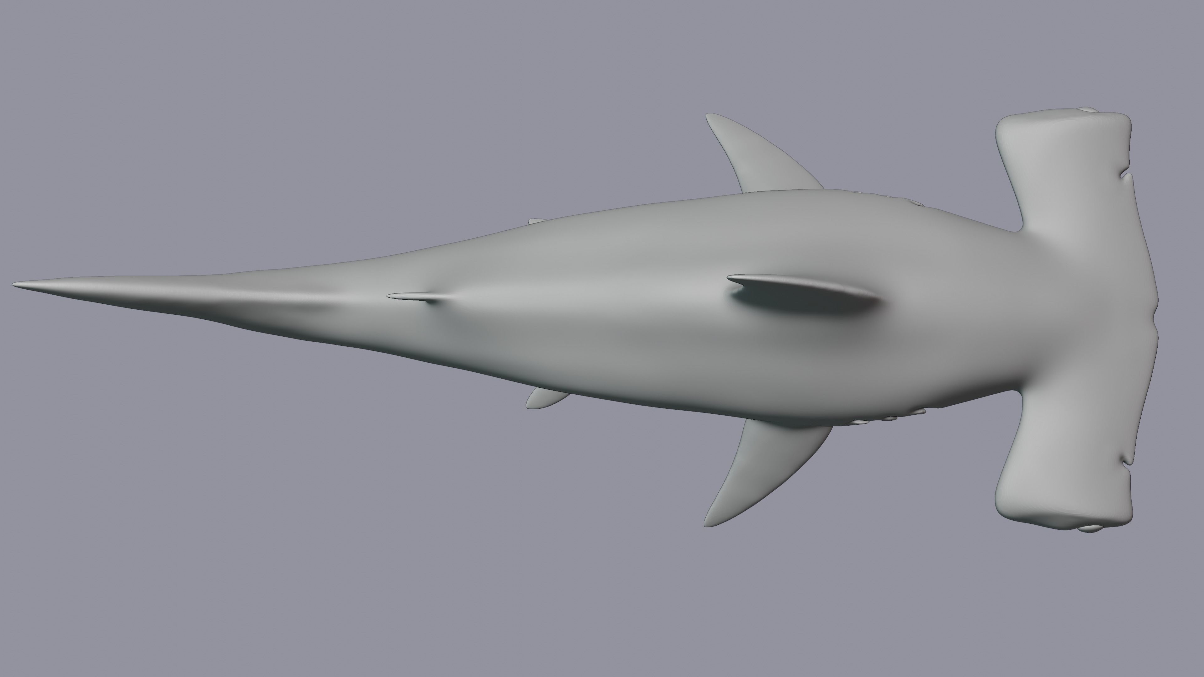 Hammerhead Shark 3D print model_7