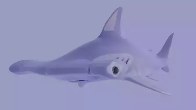 Hammerhead Shark 3D print model