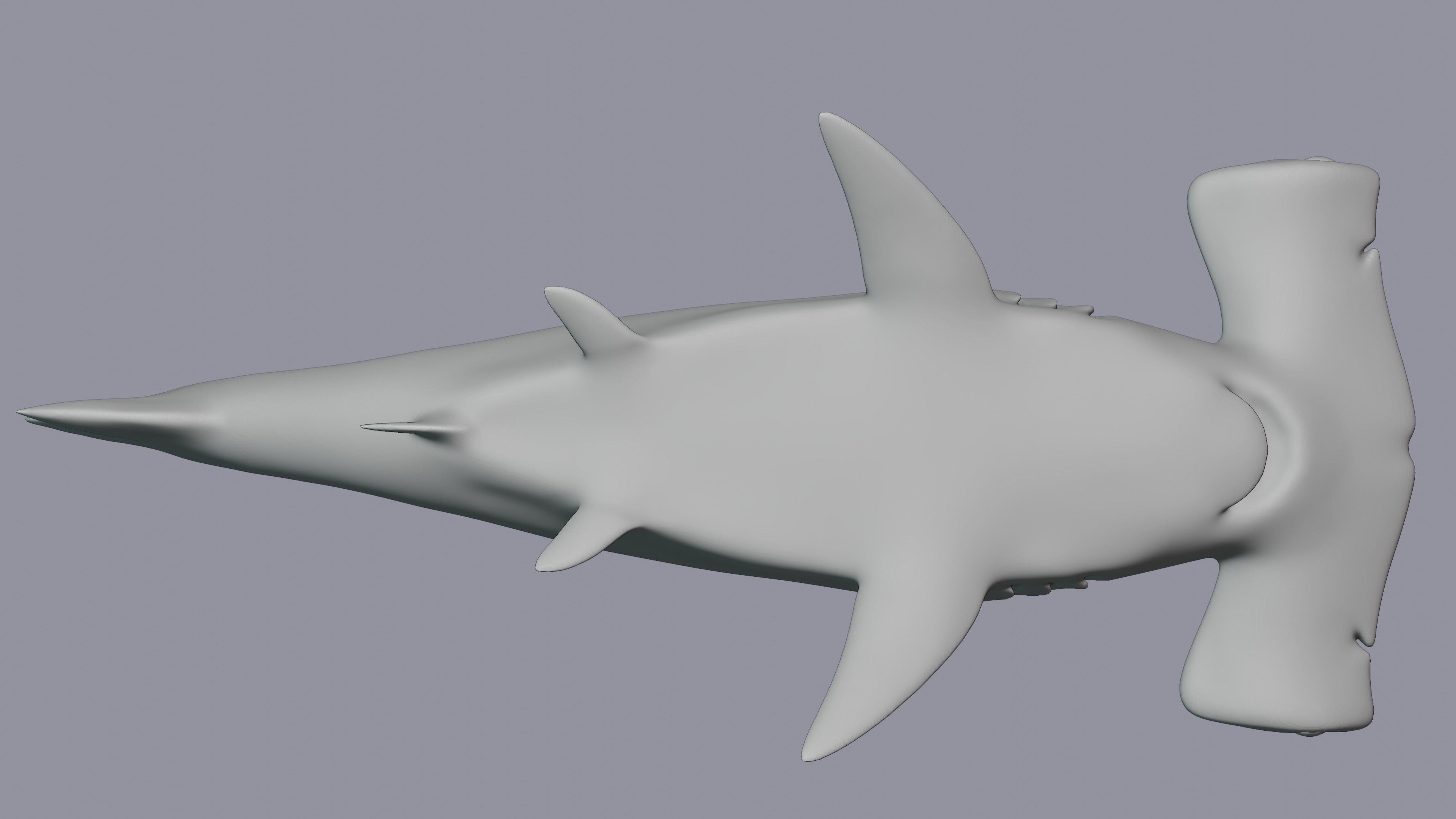 Hammerhead Shark 3D print model_6
