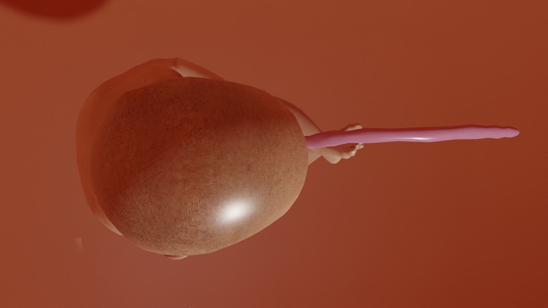 3D Baby Fetus Low-poly 3D model_4