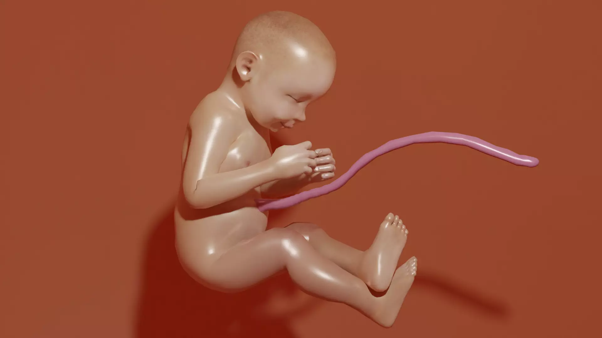 3D Baby Fetus Low-poly 3D model_0