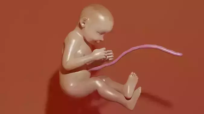 3D Baby Fetus Low-poly 3D model