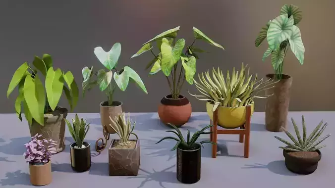 Potted plant pack