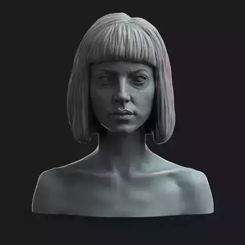 Female Bust 3D print model