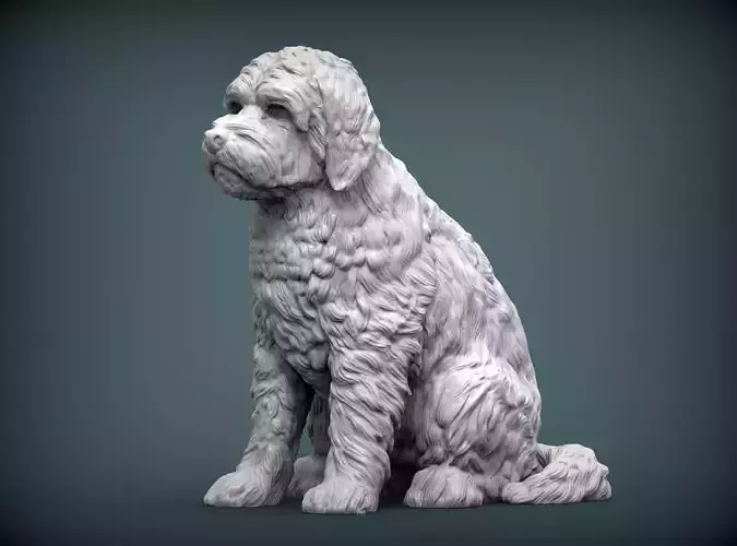 GoldenDoodle dog 3D print model
