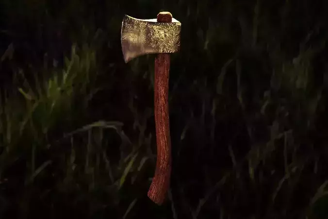 Camping Axe