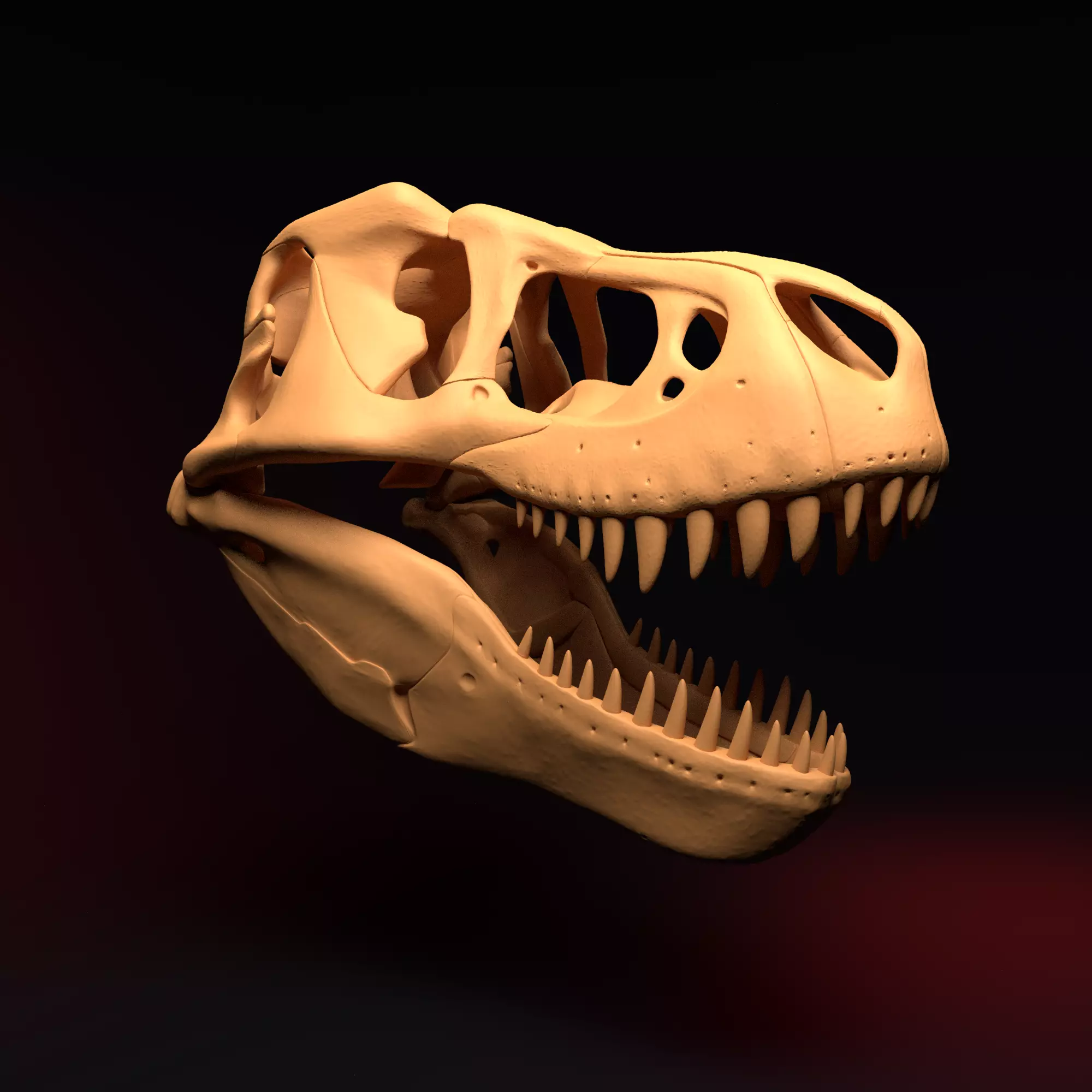 T-REX SKULL 3D print model