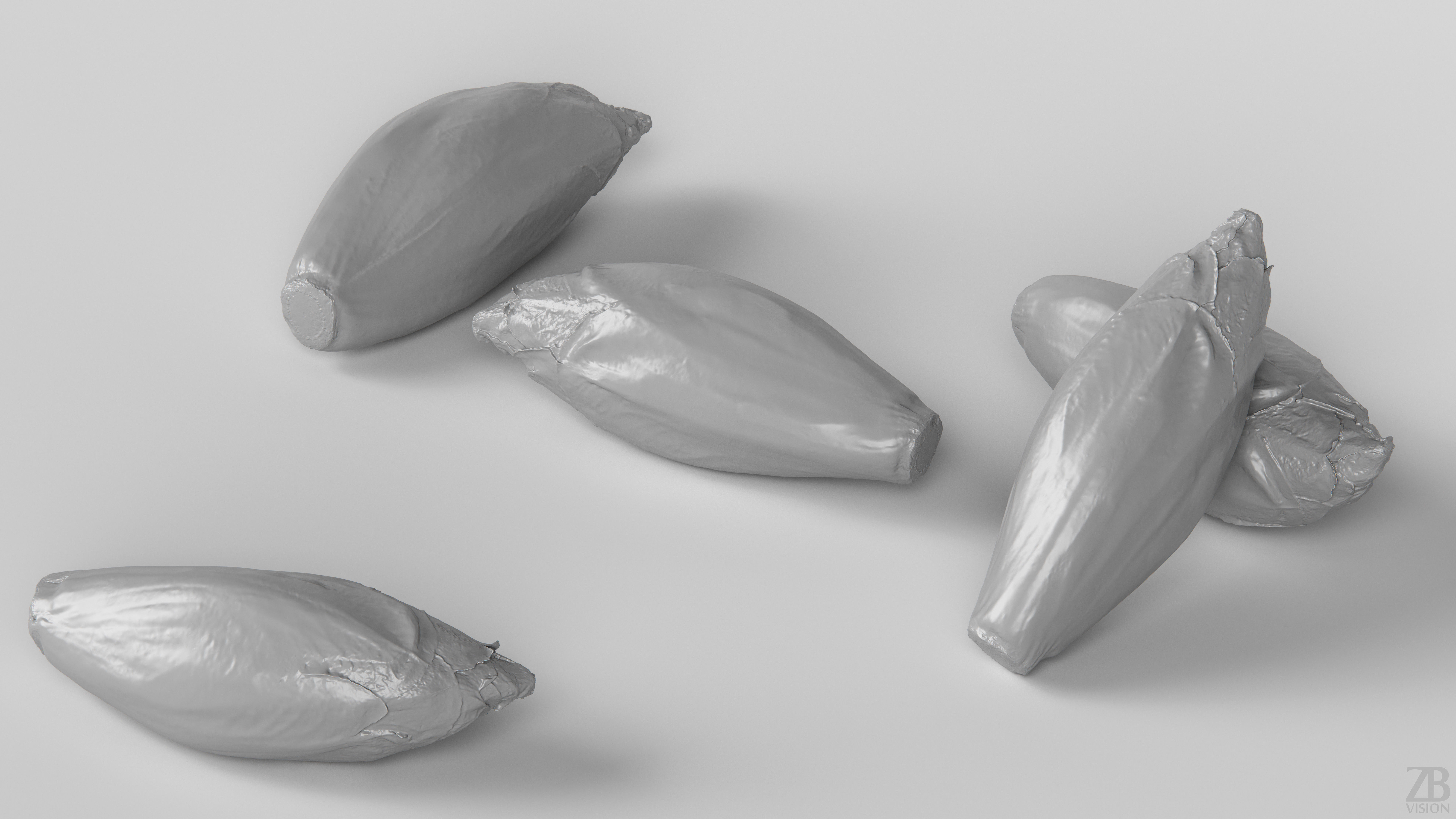 Endive 3D model_3