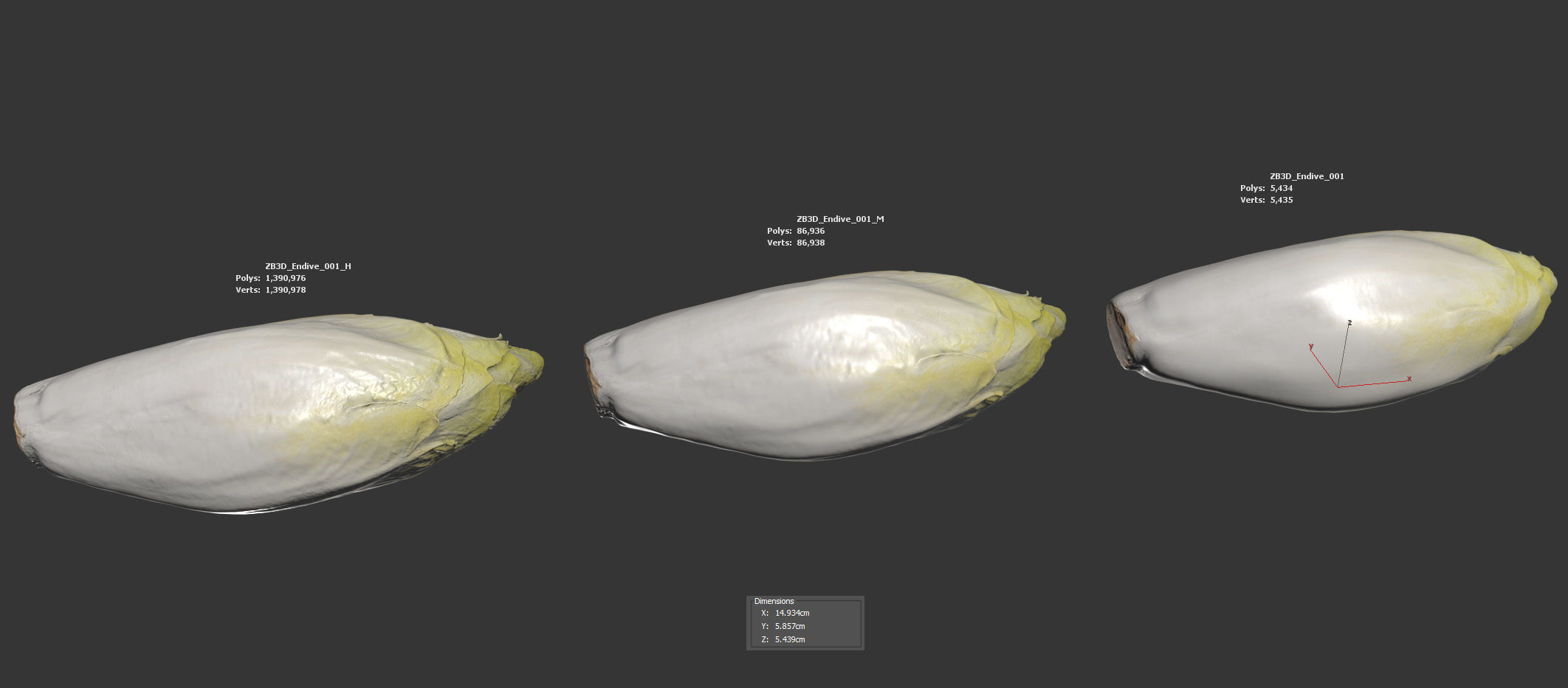 Endive 3D model_5