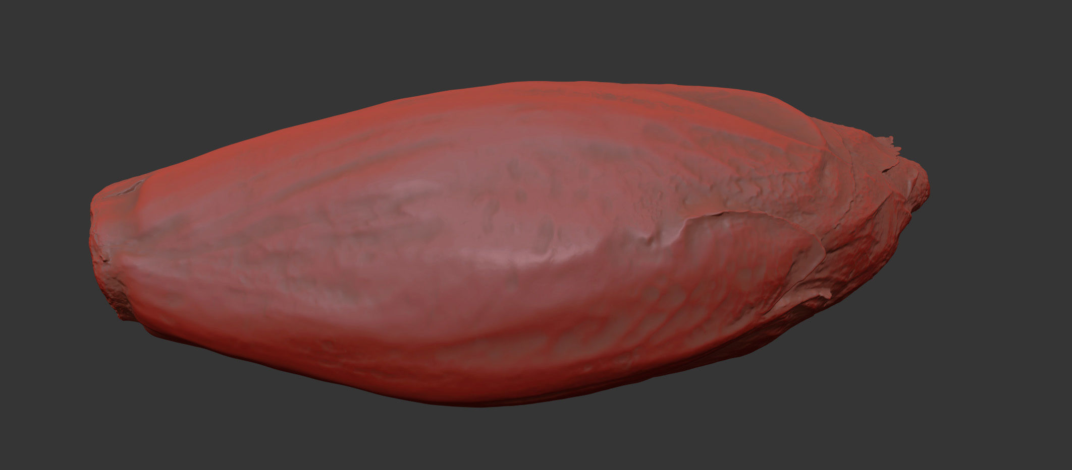 Endive 3D model_7