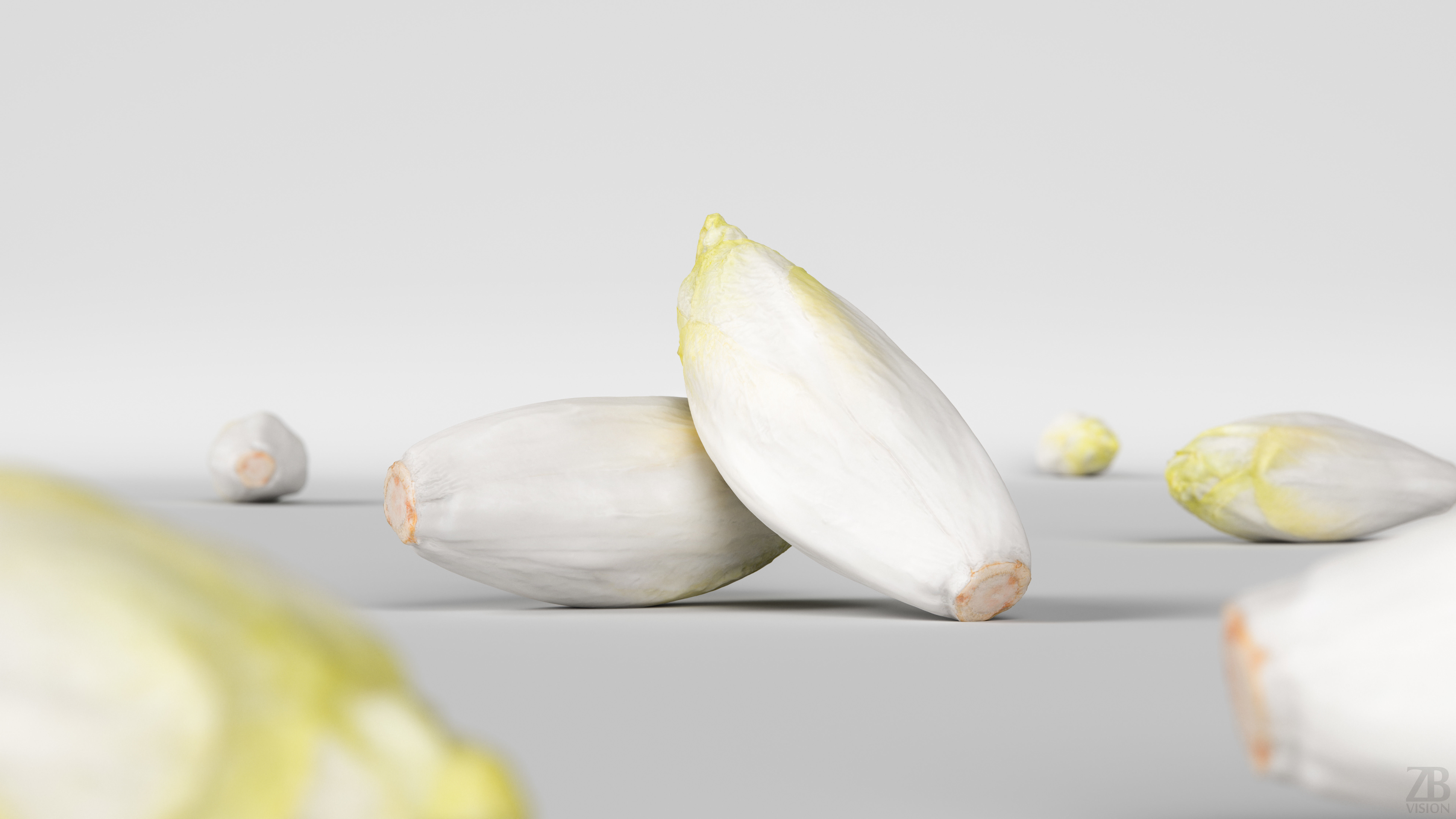 Endive 3D model_1