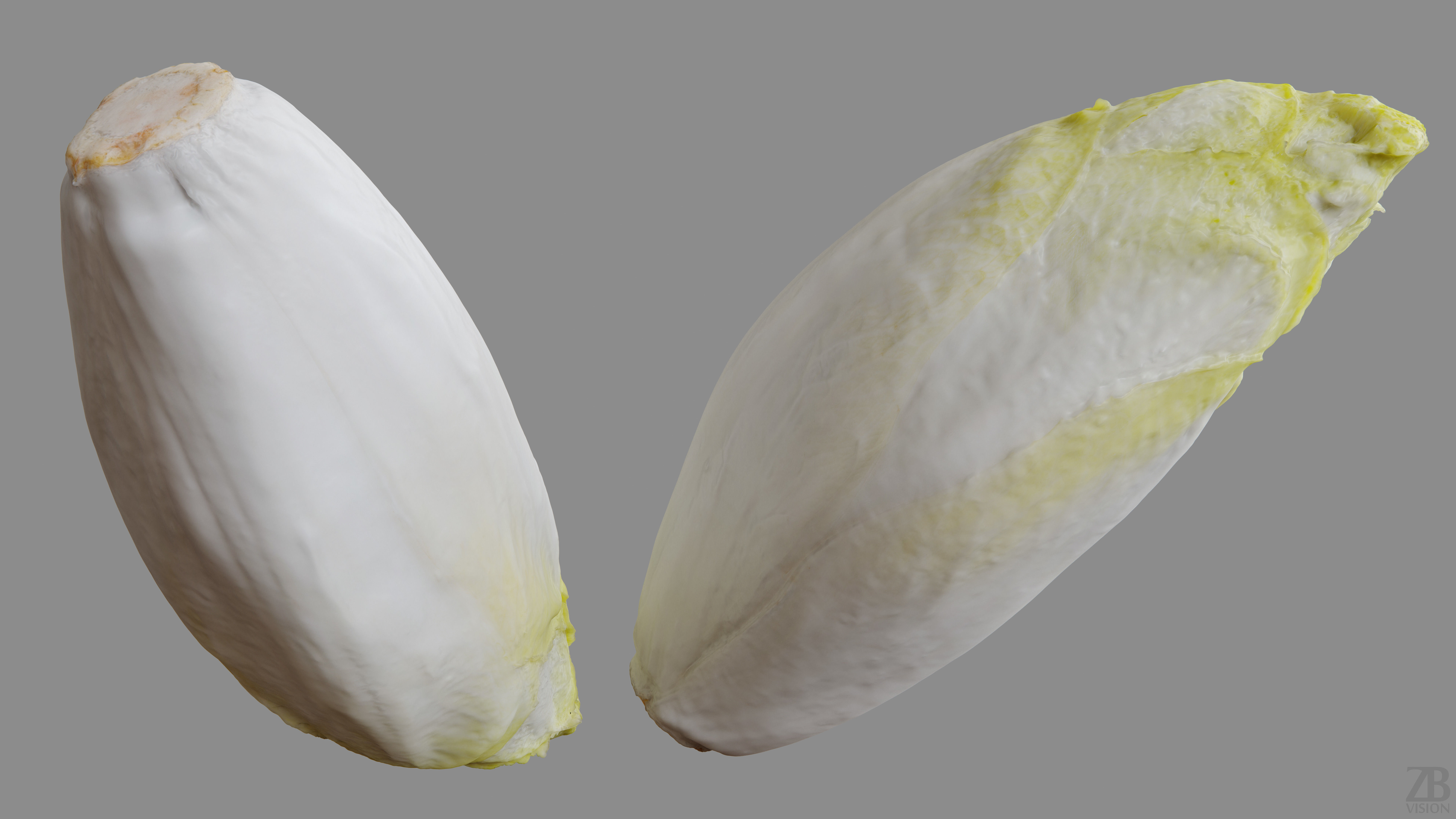 Endive 3D model_9