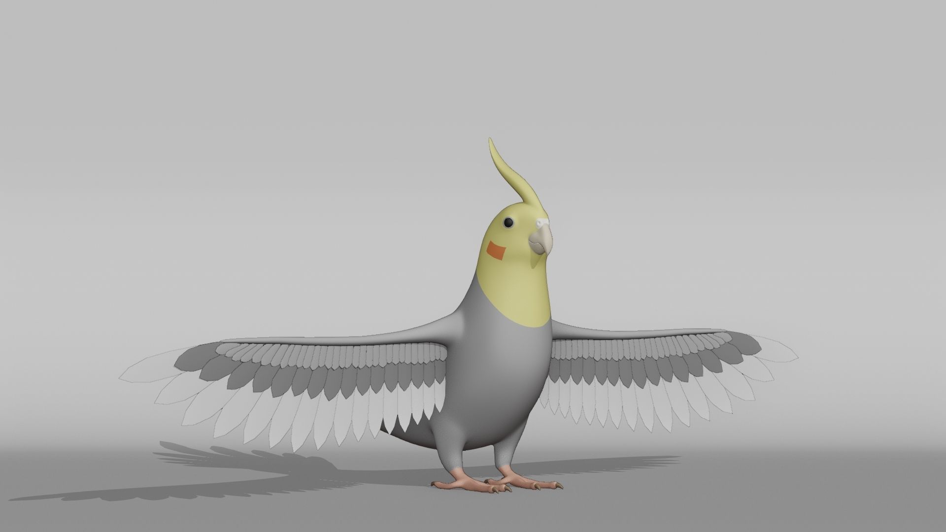 Cockatiel Base Mesh Low-poly 3D model_6