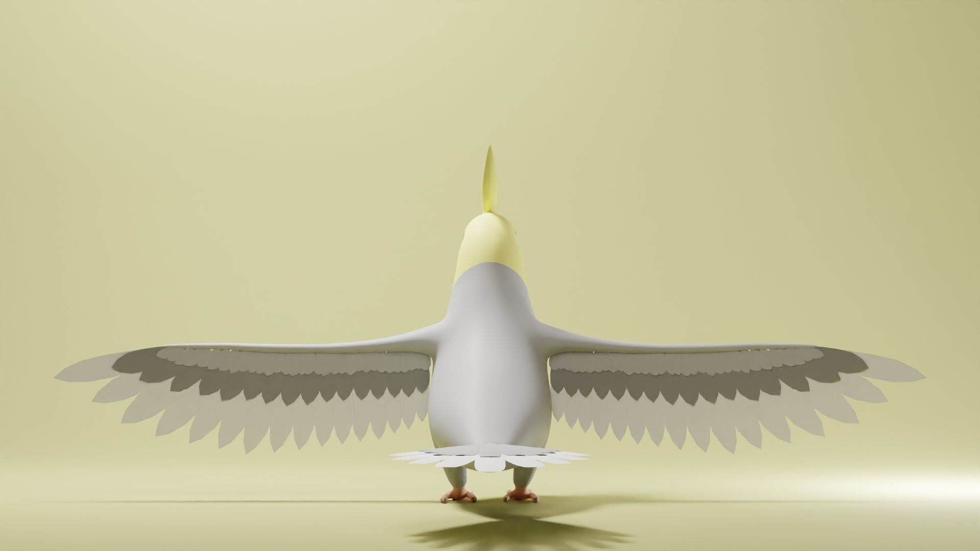 Cockatiel Base Mesh Low-poly 3D model_4