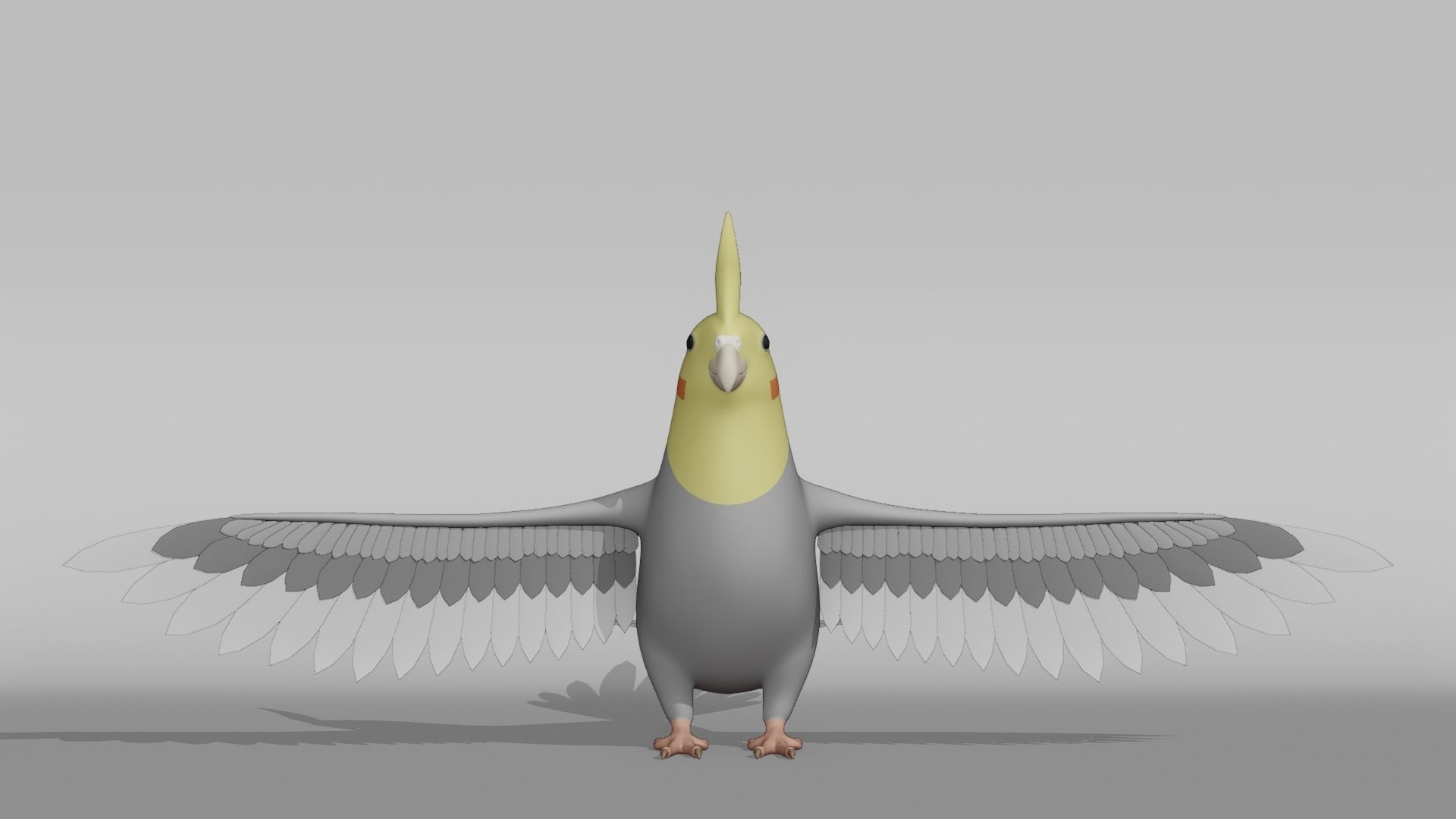 Cockatiel Base Mesh Low-poly 3D model_7