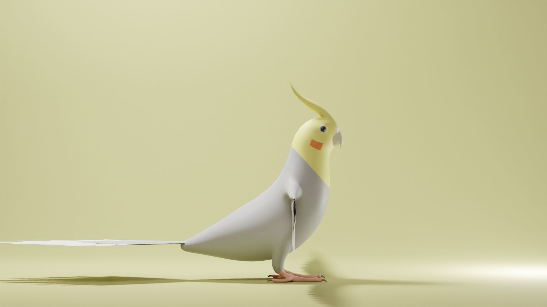 Cockatiel Base Mesh Low-poly 3D model_3