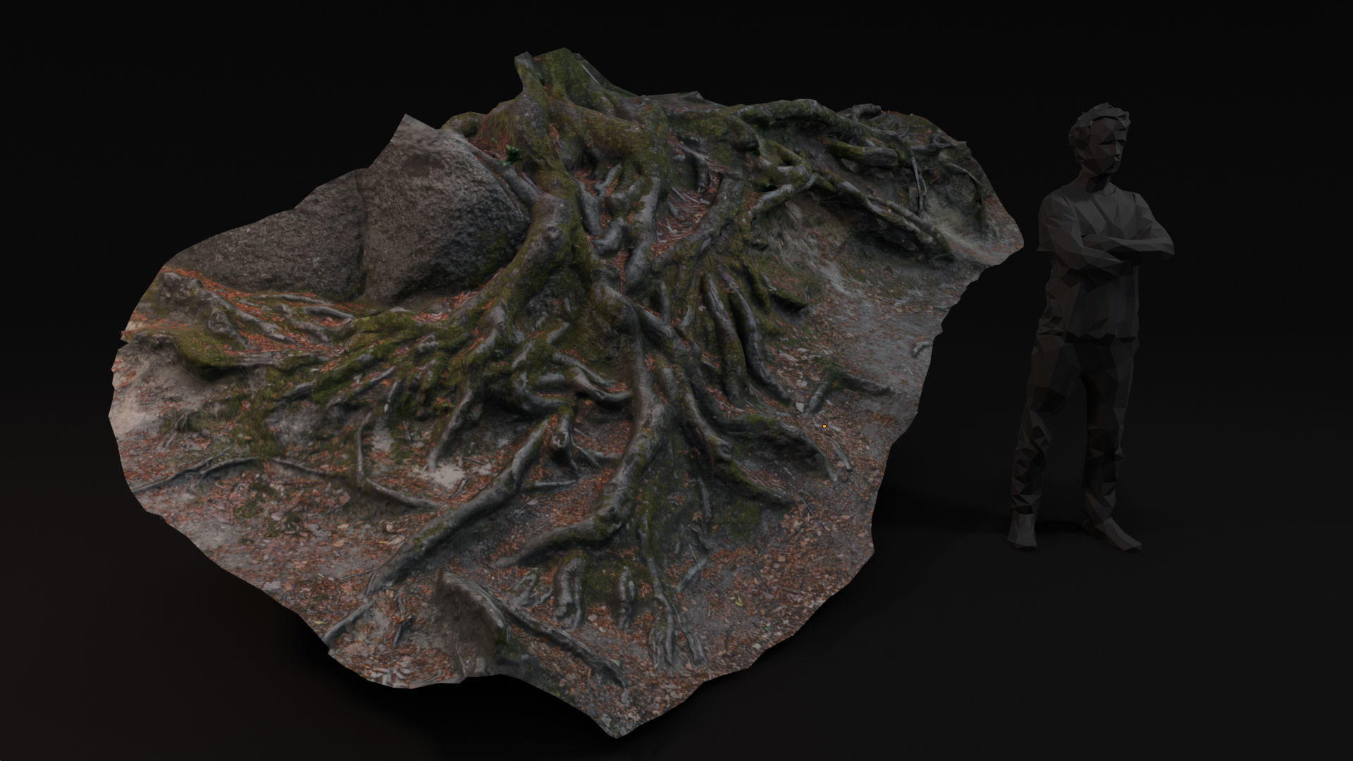 Beech forest ground - 2 of 6 - scan PBR Game ready Low-poly 3D model_1