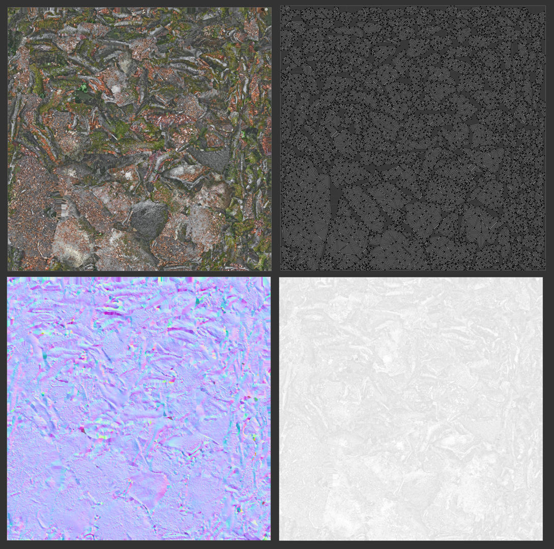 Beech forest ground - 2 of 6 - scan PBR Game ready Low-poly 3D model_10