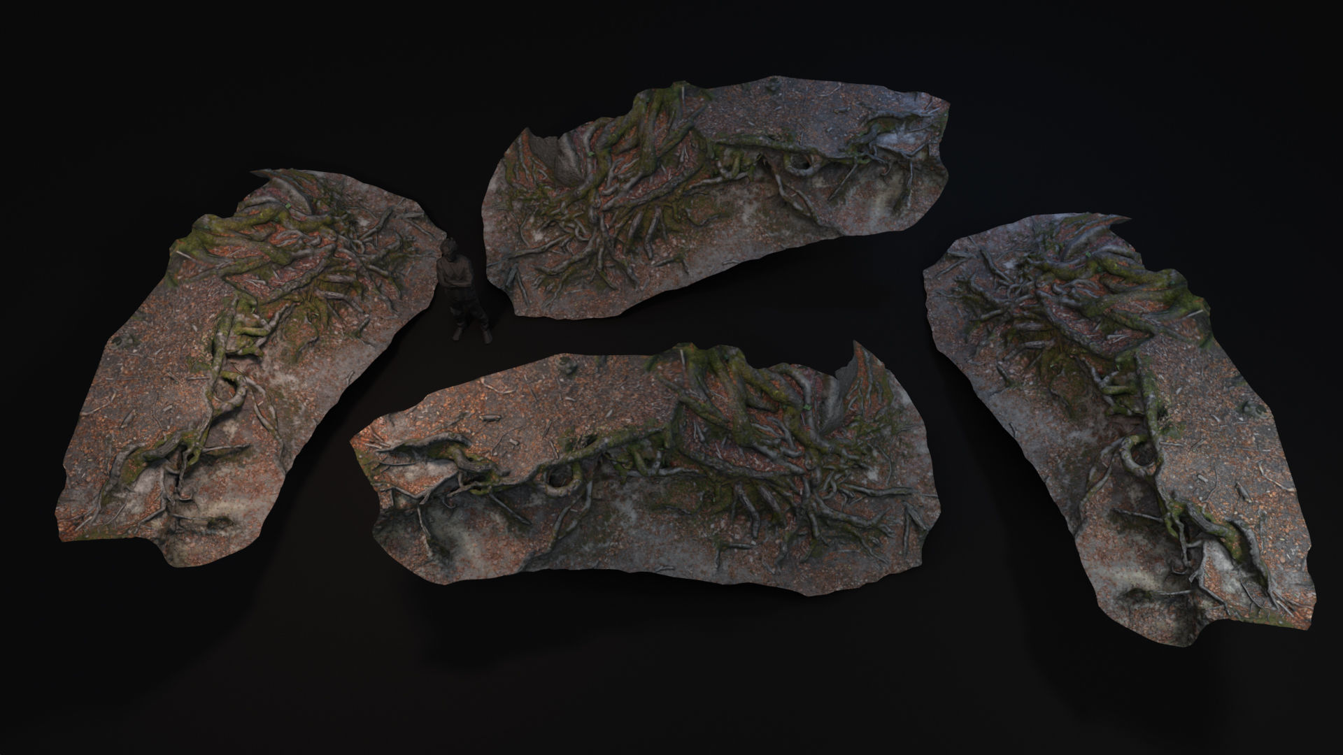 Beech forest ground - 2 of 6 - scan PBR Game ready Low-poly 3D model_4