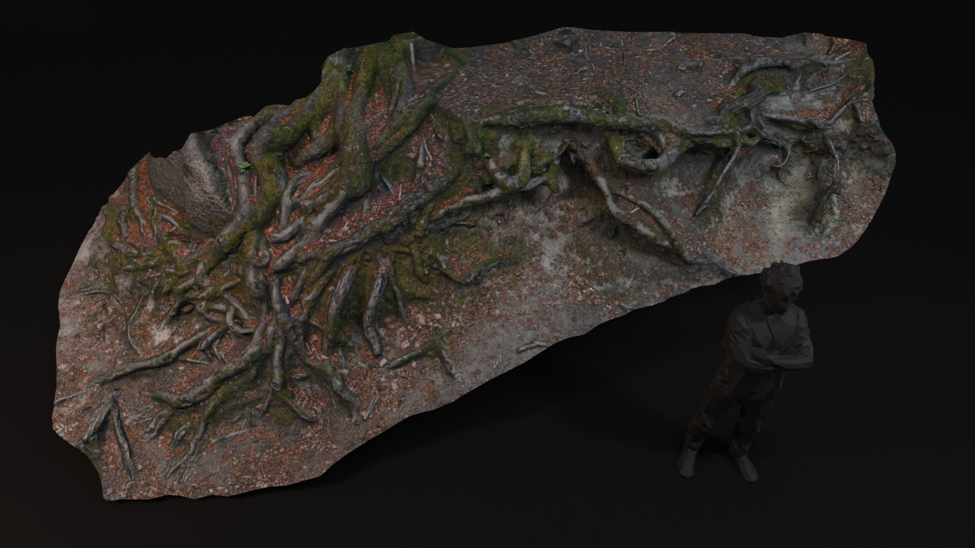 Beech forest ground - 2 of 6 - scan PBR Game ready Low-poly 3D model_3