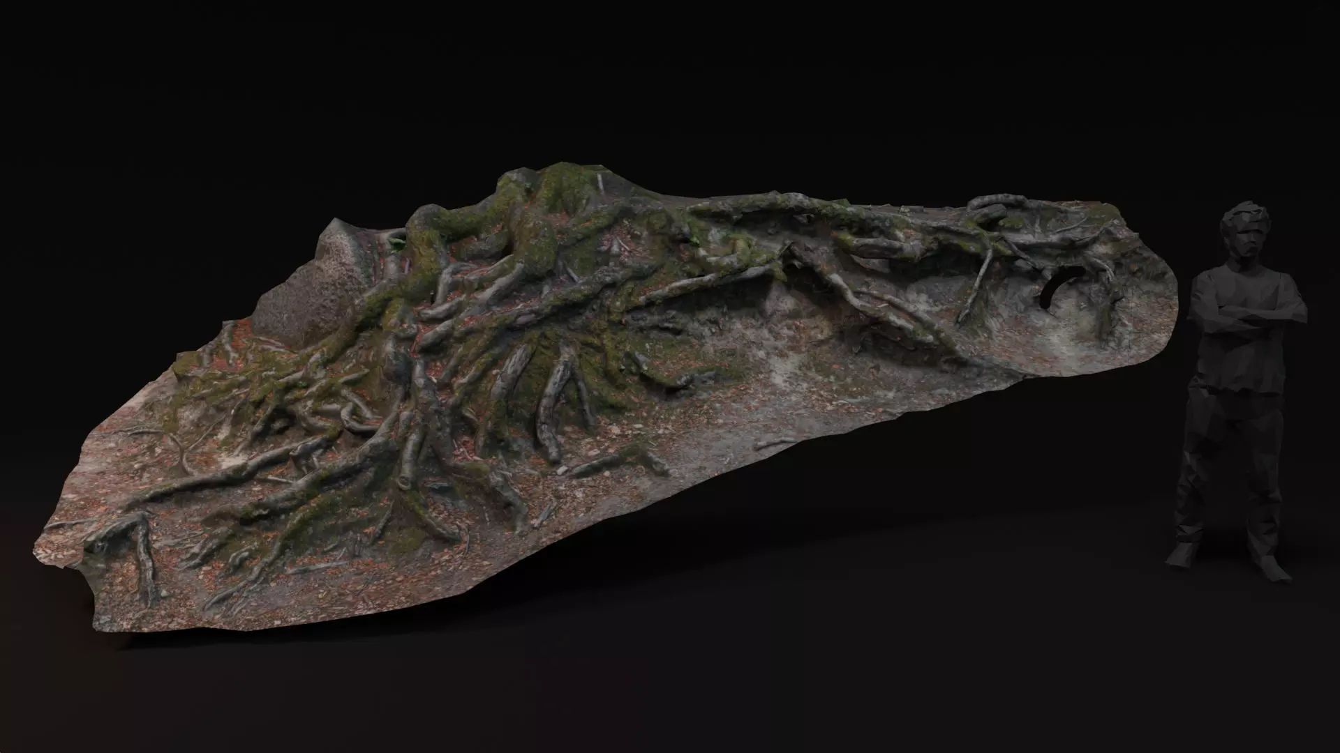 Beech forest ground - 2 of 6 - scan PBR Game ready Low-poly 3D model_0