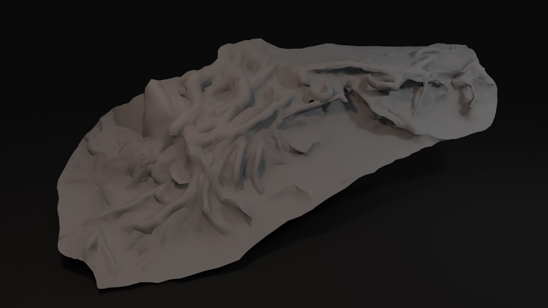 Beech forest ground - 2 of 6 - scan PBR Game ready Low-poly 3D model_8