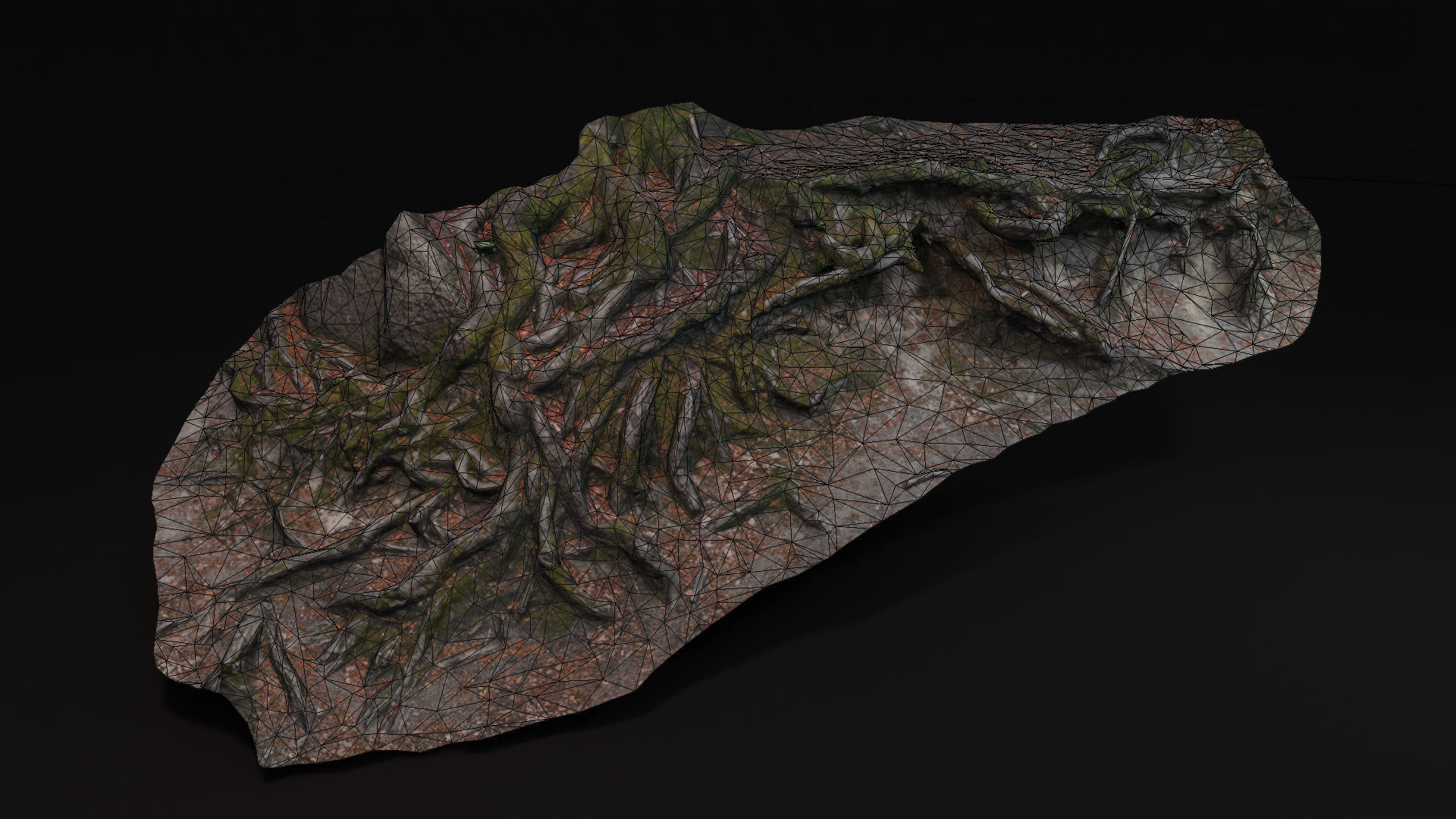 Beech forest ground - 2 of 6 - scan PBR Game ready Low-poly 3D model_5