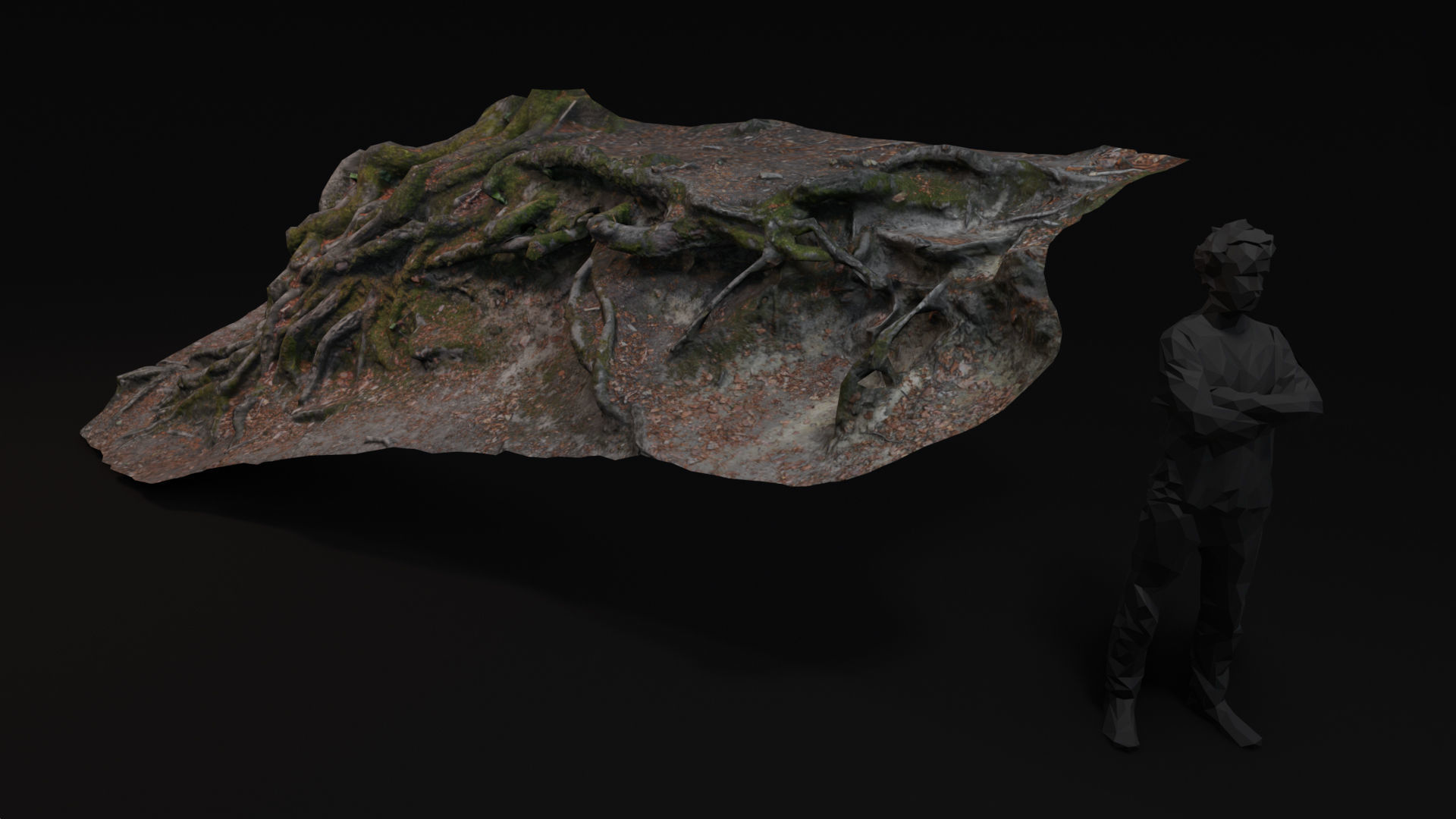 Beech forest ground - 2 of 6 - scan PBR Game ready Low-poly 3D model_2