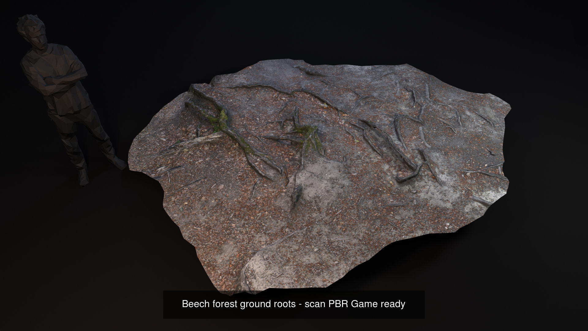 Beech forest ground modules - lwpoly PBR Game ready 3D Model Collection_15