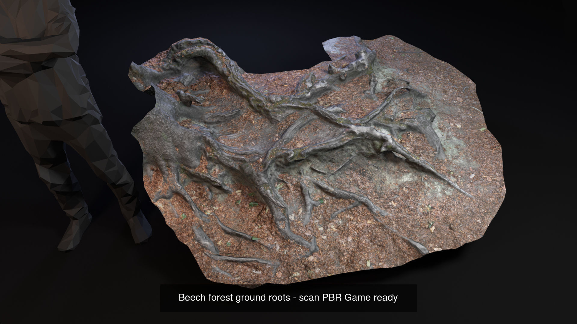 Beech forest ground modules - lwpoly PBR Game ready 3D Model Collection_16