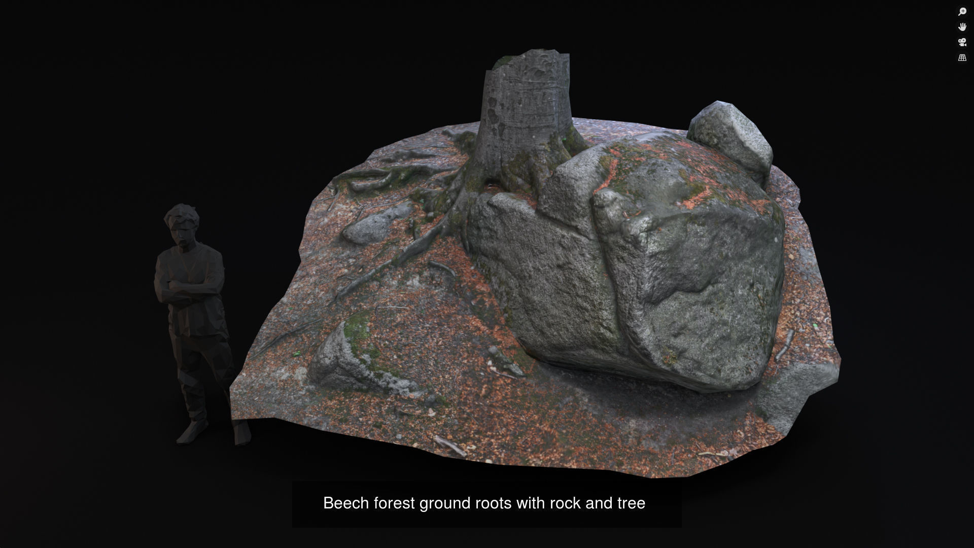 Beech forest ground modules - lwpoly PBR Game ready 3D Model Collection_13