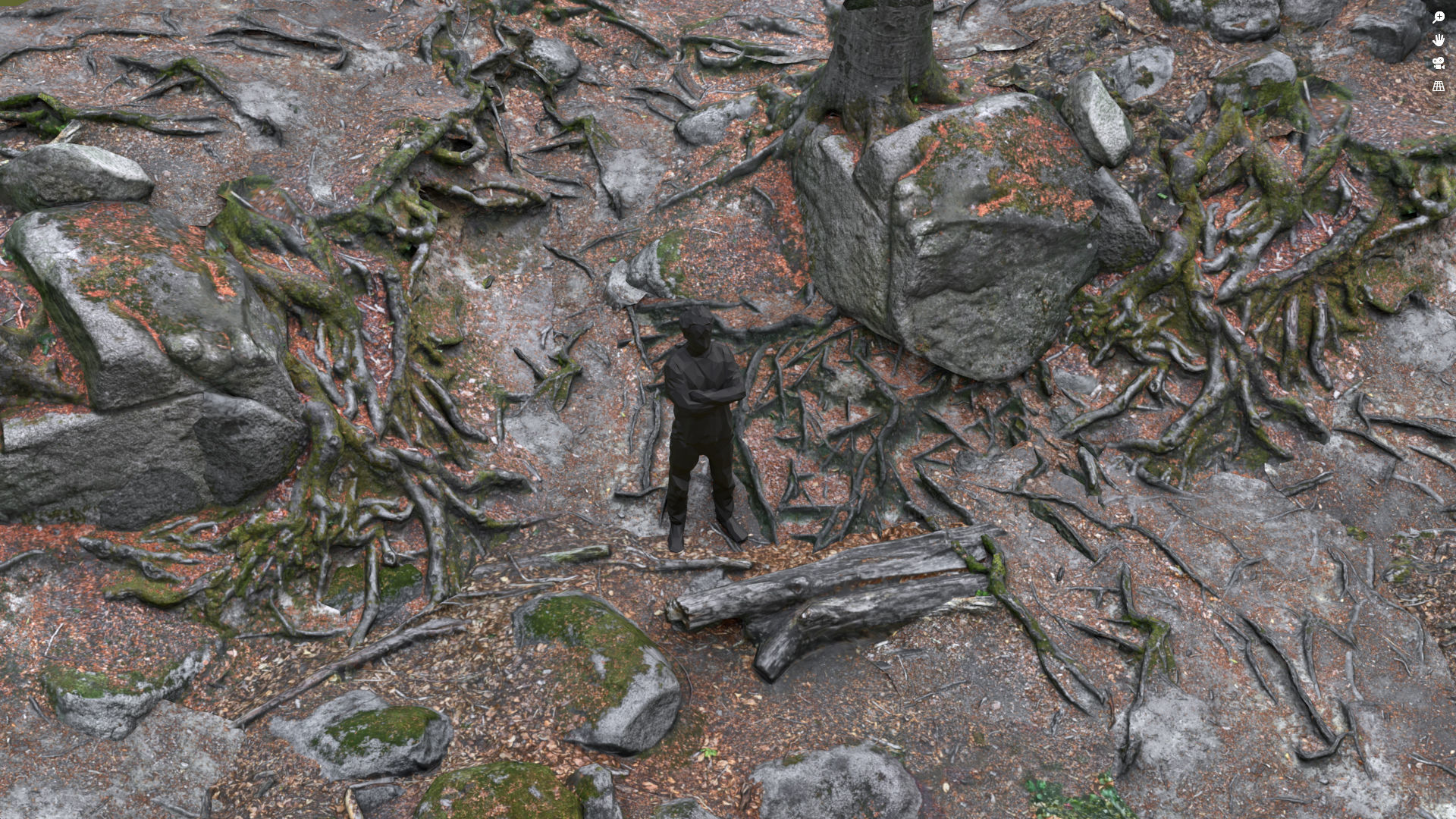 Beech forest ground modules - lwpoly PBR Game ready 3D Model Collection_7