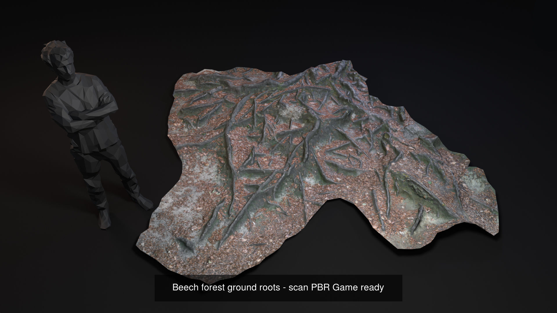Beech forest ground modules - lwpoly PBR Game ready 3D Model Collection_17