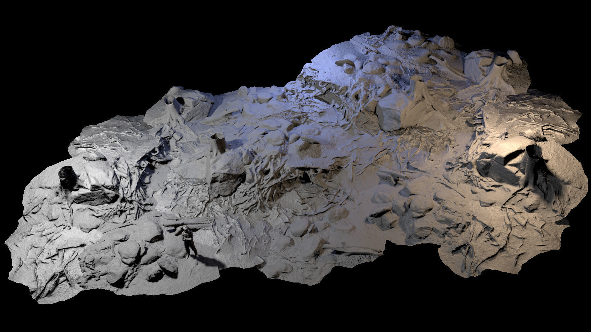 Beech forest ground modules - lwpoly PBR Game ready 3D Model Collection_11