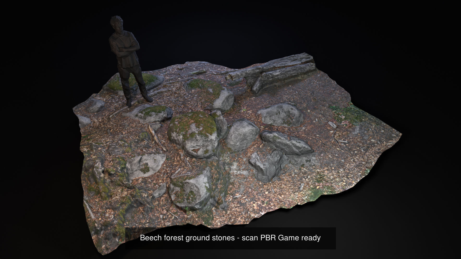 Beech forest ground modules - lwpoly PBR Game ready 3D Model Collection_14