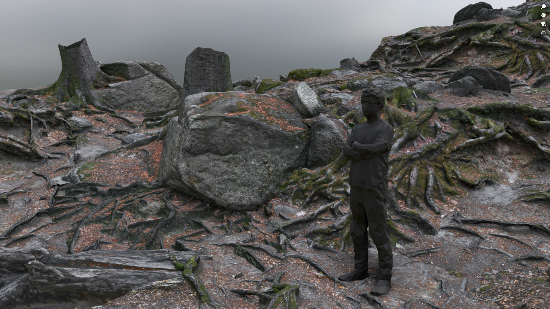 Beech forest ground modules - lwpoly PBR Game ready 3D Model Collection_5