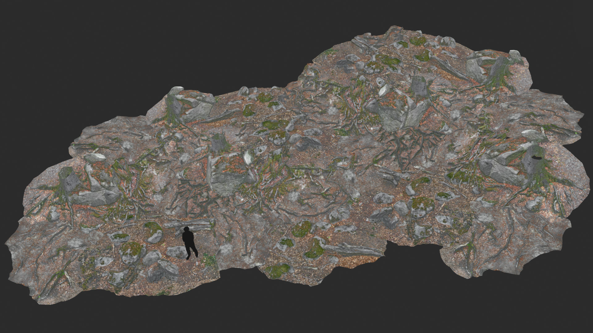 Beech forest ground modules - lwpoly PBR Game ready 3D Model Collection_10