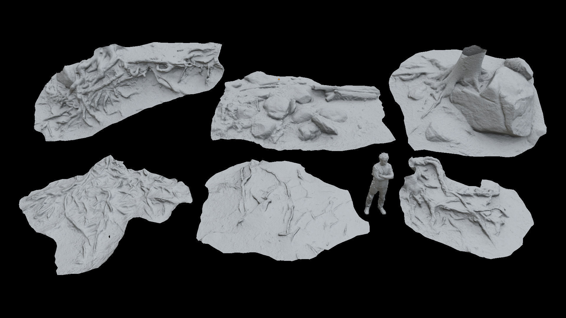 Beech forest ground modules - lwpoly PBR Game ready 3D Model Collection_2